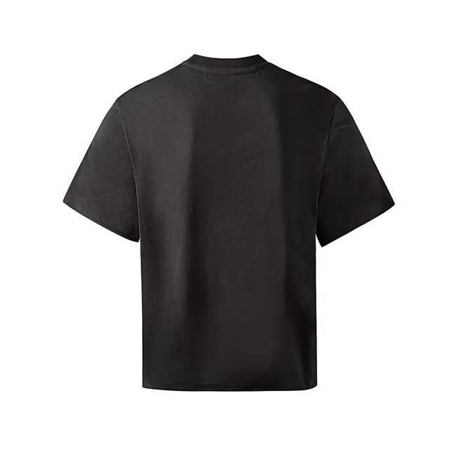 Hansca T