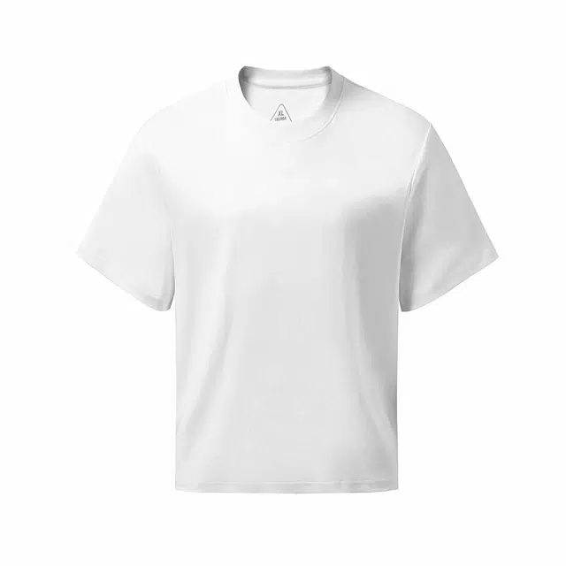 Hansca T