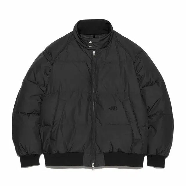 THE NORTH FACE FW24 PURPLE LABEL Field Logo