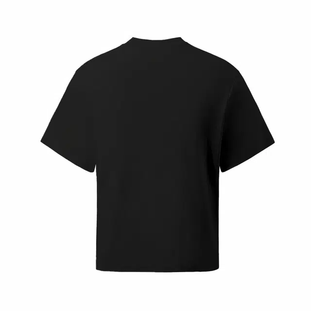 Hansca T