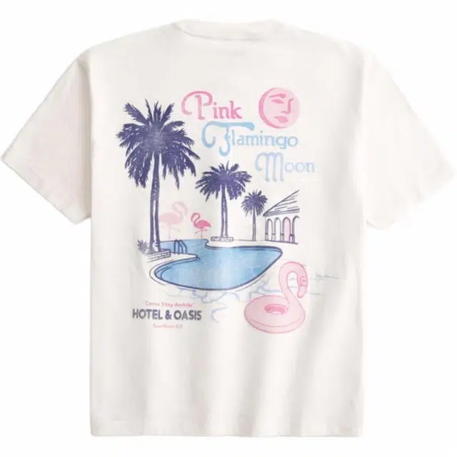 Hollister T