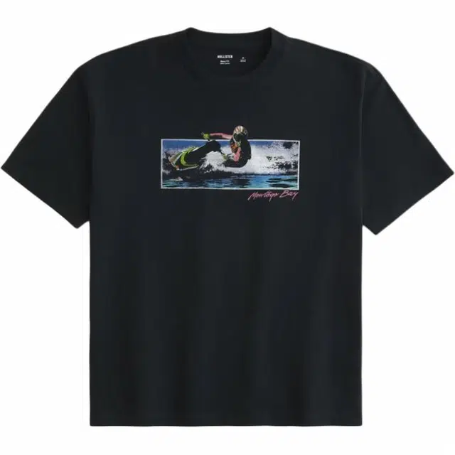 Hollister T