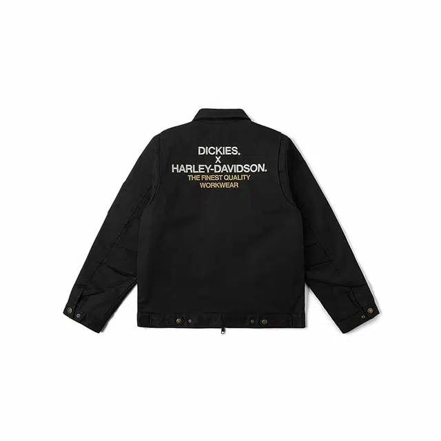 Dickies x SS25