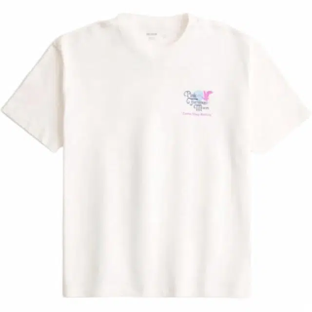 Hollister T