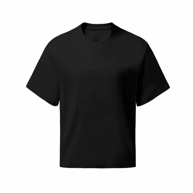 Hansca T