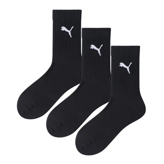 PUMA 3