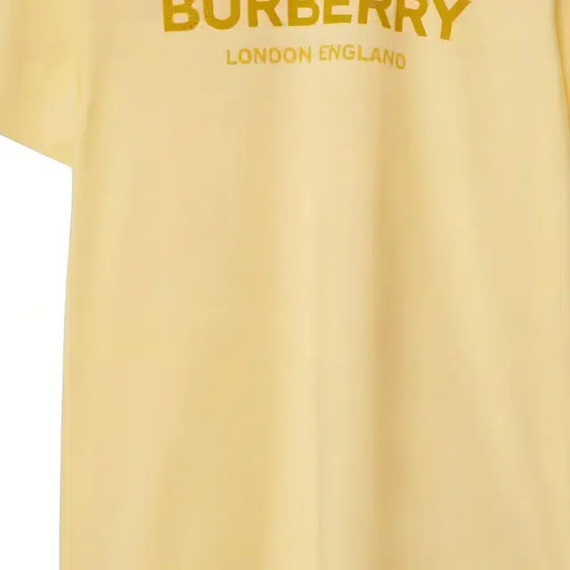 Burberry T
