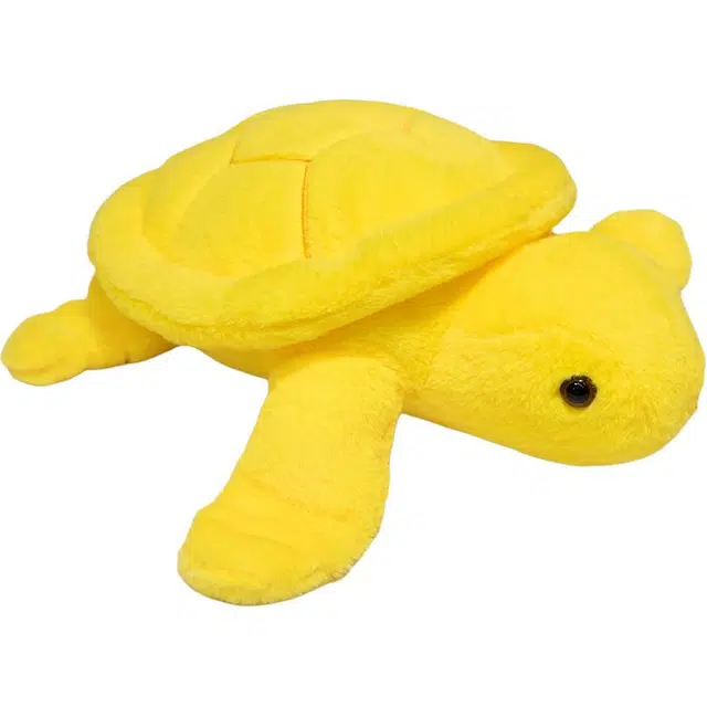 25cm35cm