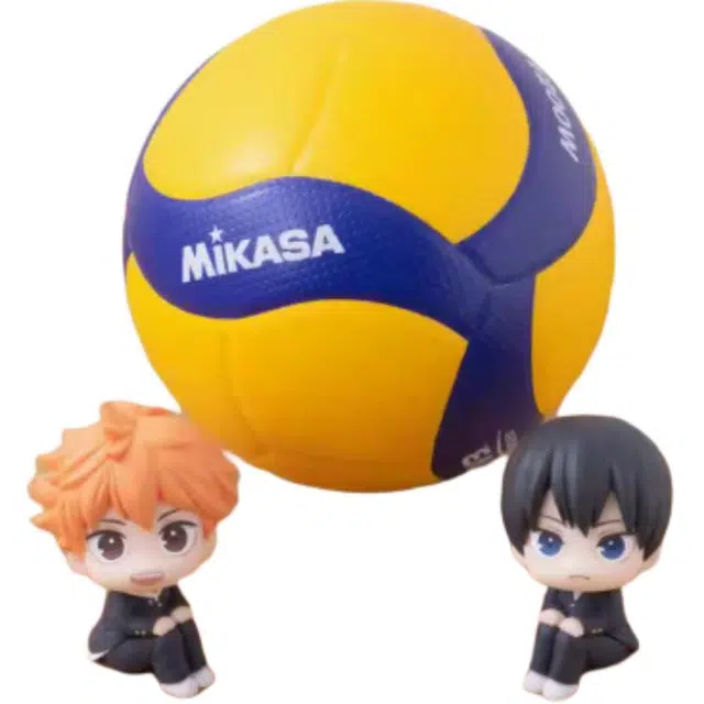 MegaHouse LOOKUP