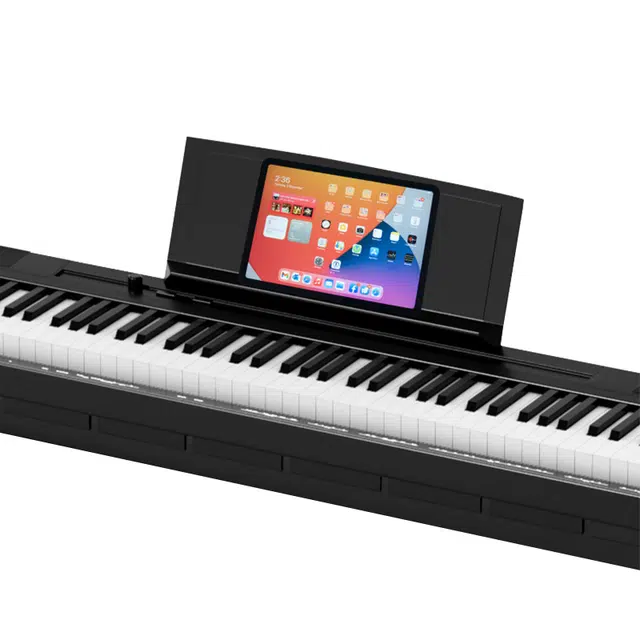 MS-210P 88