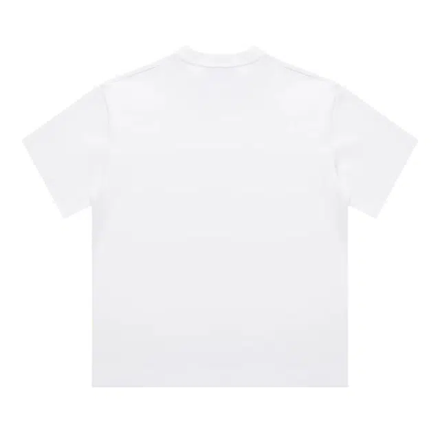 PAINT STAIN T