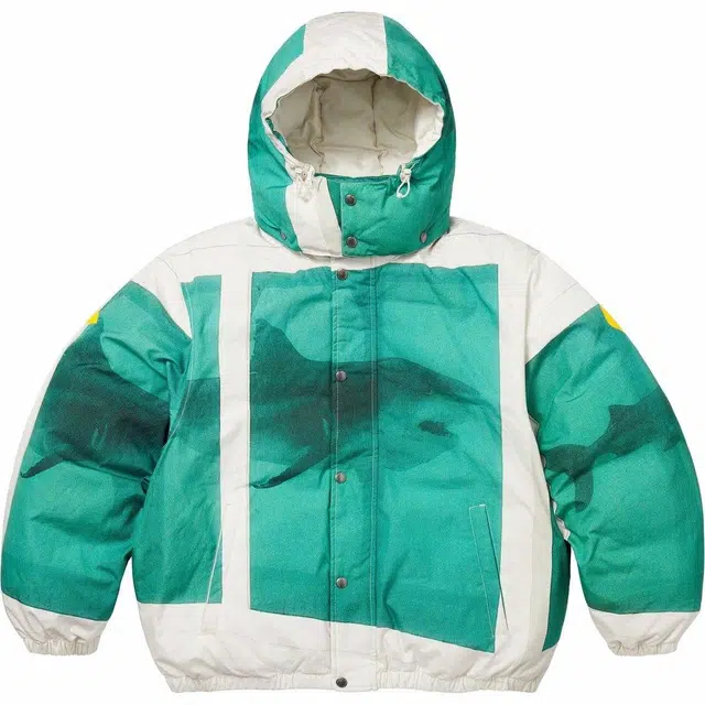 Supreme x Damien Hirst SS25 WEEK1 Down Puffer Jacket