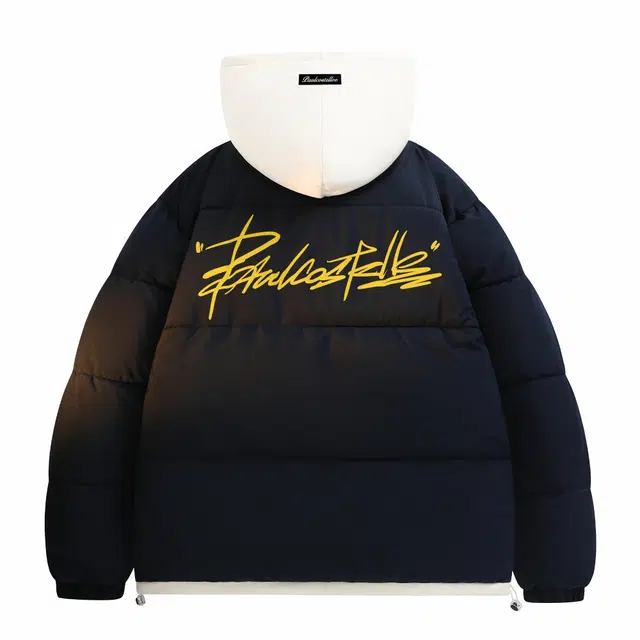 PAUL COSTELLOE Logo