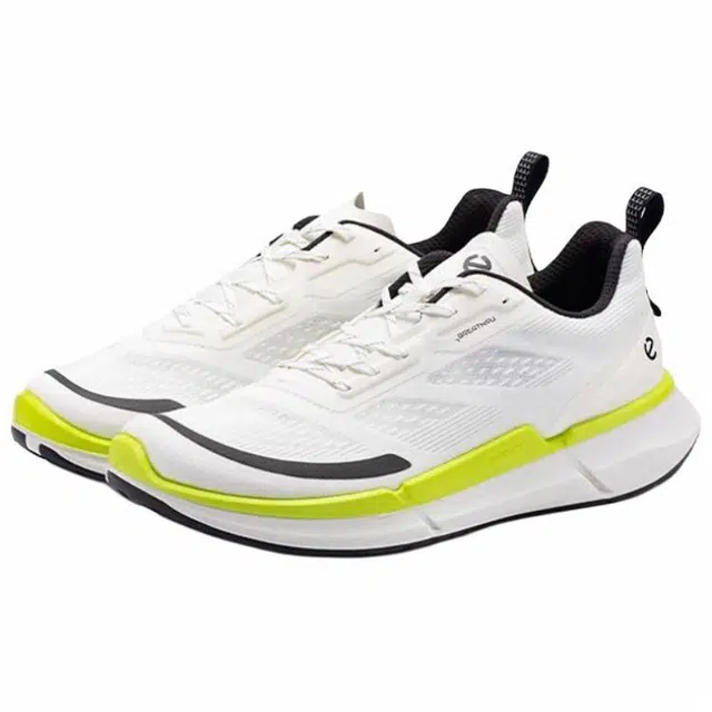 ecco Biom 2.2