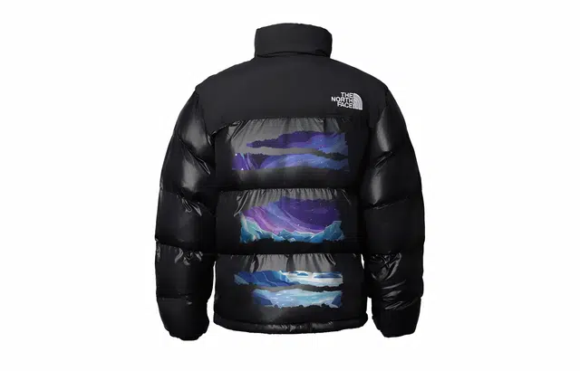 THE NORTH FACE Nuptse 811