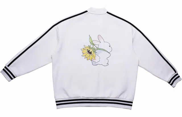 LiNing SDSLogo