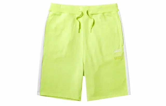 Vans FT Shorts