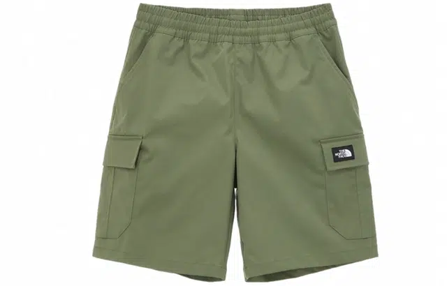 THE NORTH FACE SS22 Logo