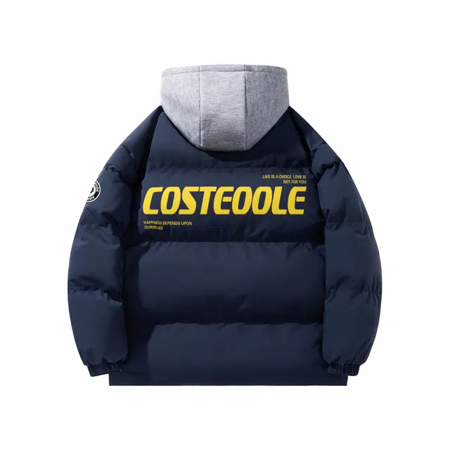 PAUL COSTELLOE Logo