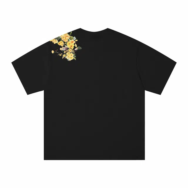 PAUL COSTELLOE T