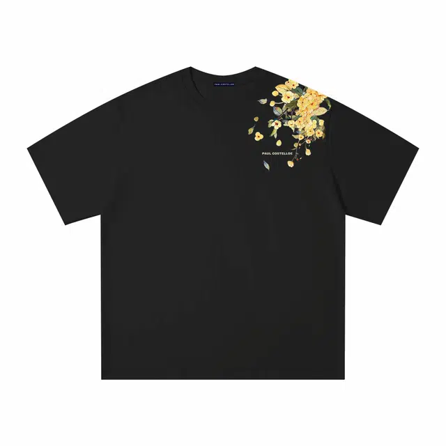 PAUL COSTELLOE T