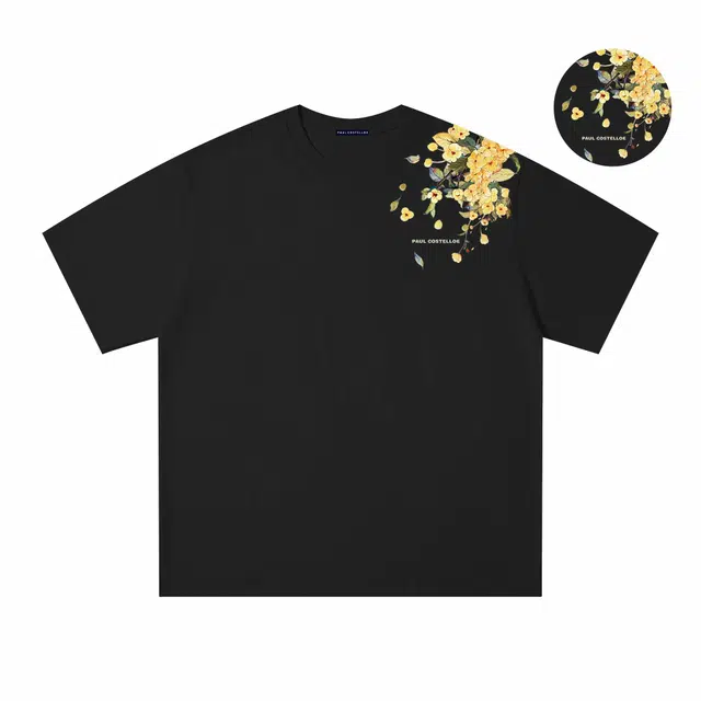PAUL COSTELLOE T