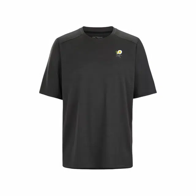 Arcteryx LogoT Charcoal grey