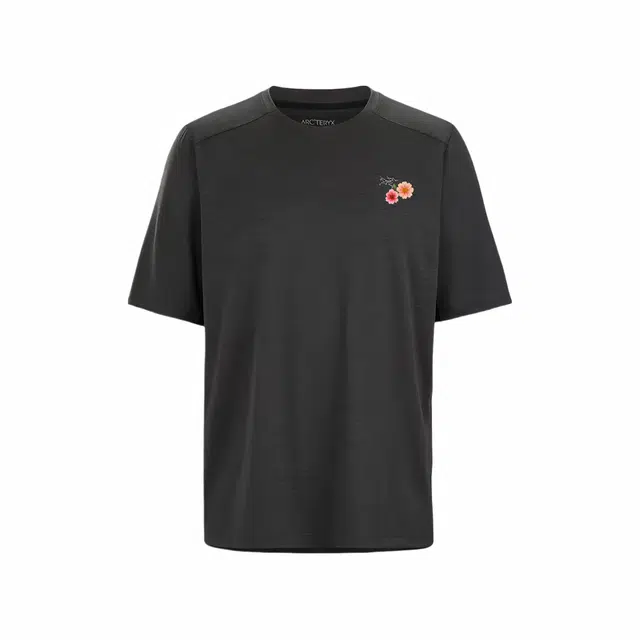 Arcteryx LogoT Charcoal grey