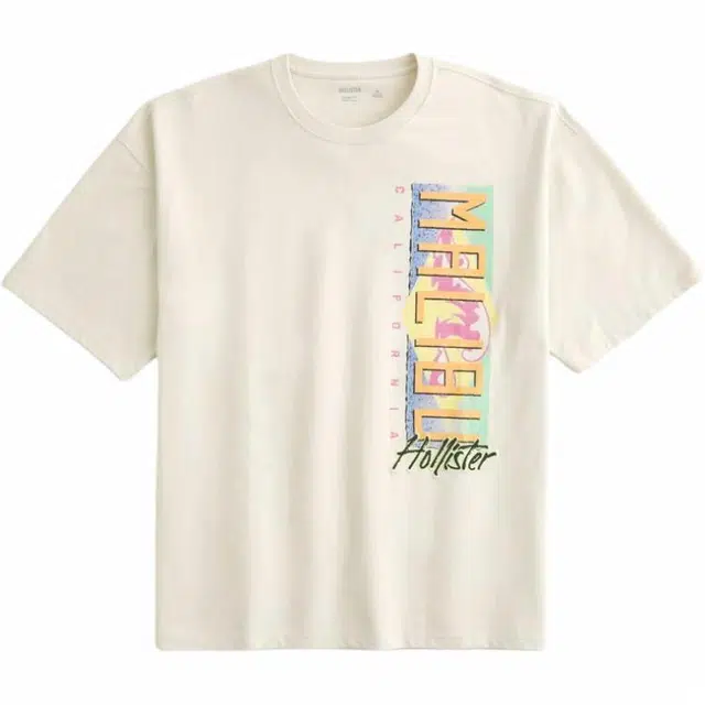 Hollister T