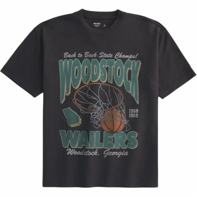 Hollister T