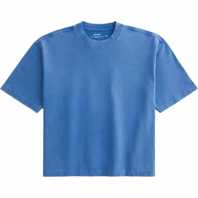 Hollister T