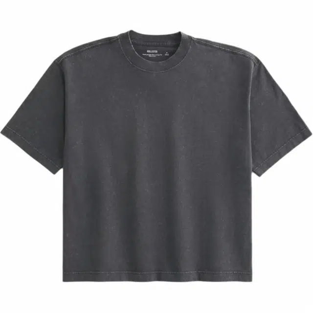 Hollister T