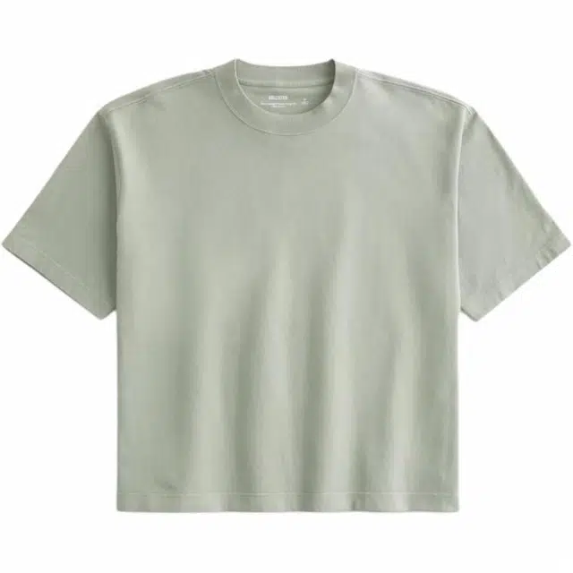 Hollister T