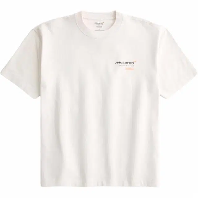 Hollister T