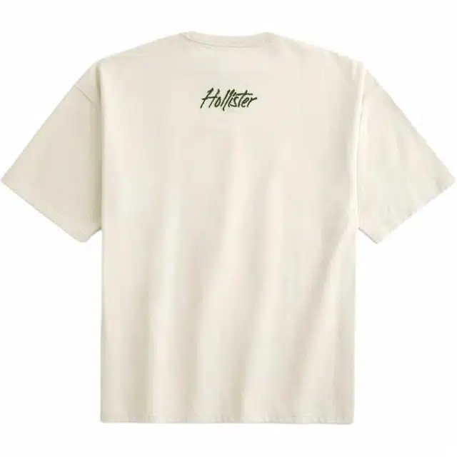 Hollister T