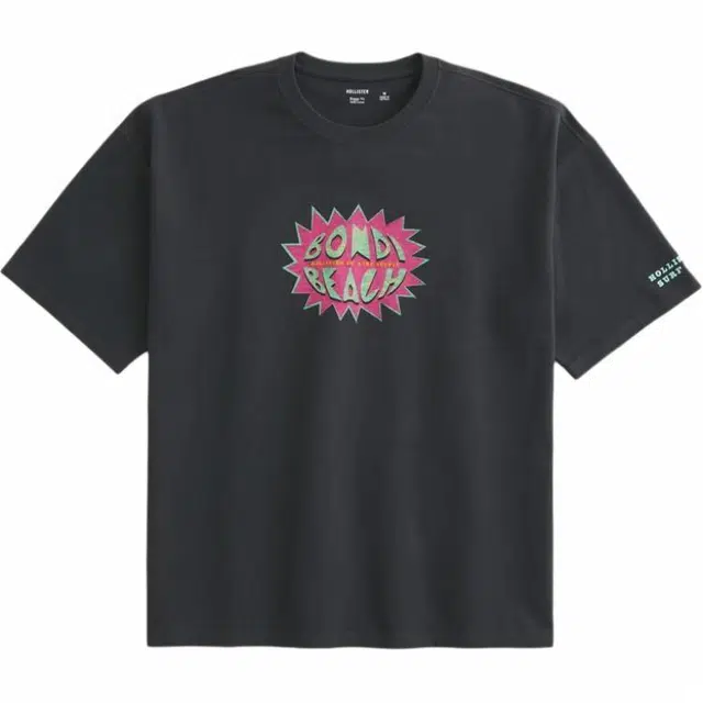 Hollister T