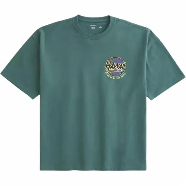 Hollister T