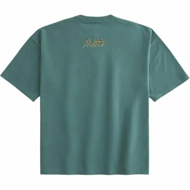 Hollister T