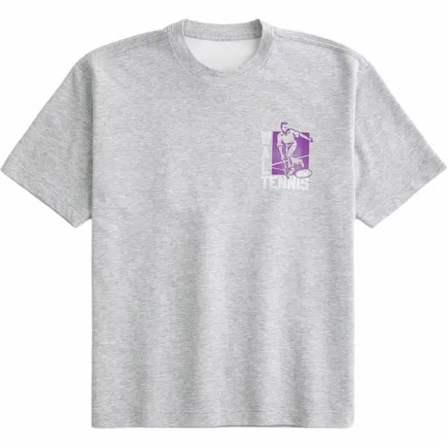 Hollister T