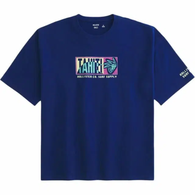Hollister T