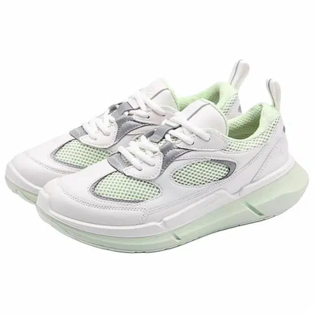ecco BIOM2.2