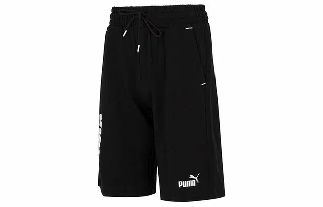 Puma Power Logo