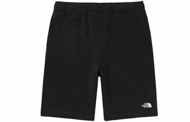 THE NORTH FACE Logo