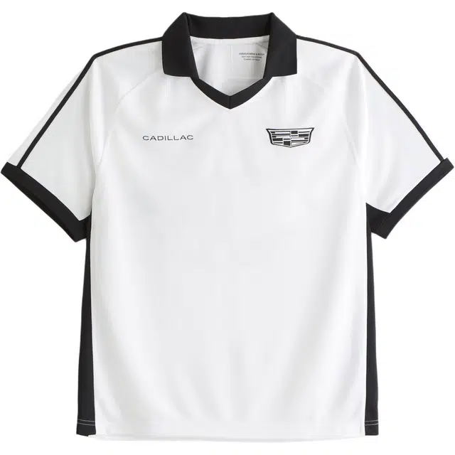 AbercrombieFitch LogoPolo