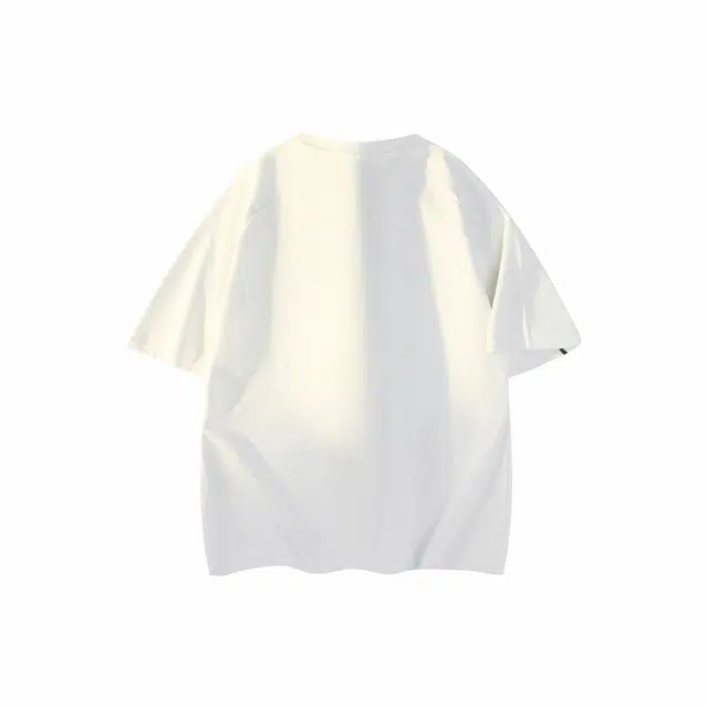 PUNCTILIOUS T