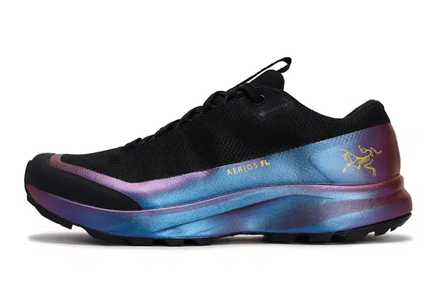 Arcteryx Aerios Fl 2 GTX 811