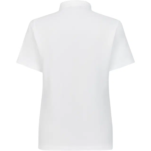 LogoPolo