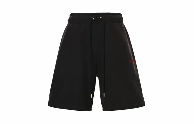 Jordan x Wordmark Shorts Brown