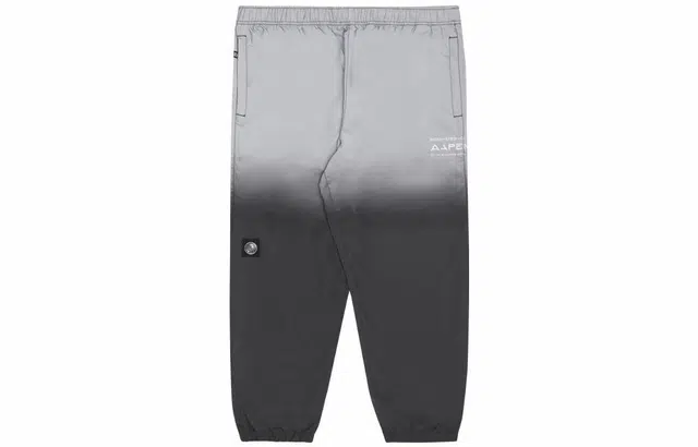 Aape