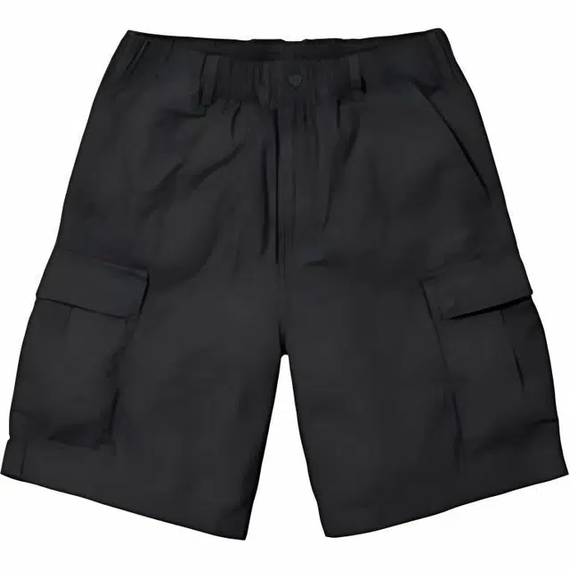 Supreme SS24 WEEK12 CARGO SHORT
